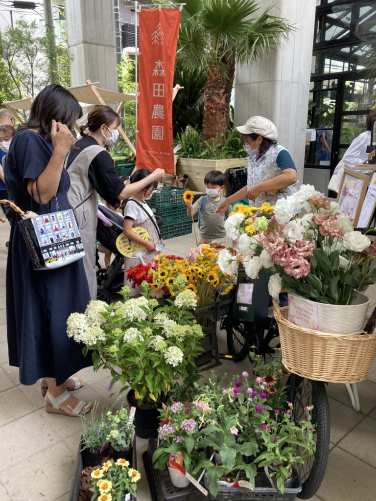 【流山おおたかの森】流山市内の水遊びならココがおすすめ「野々下水辺公園」