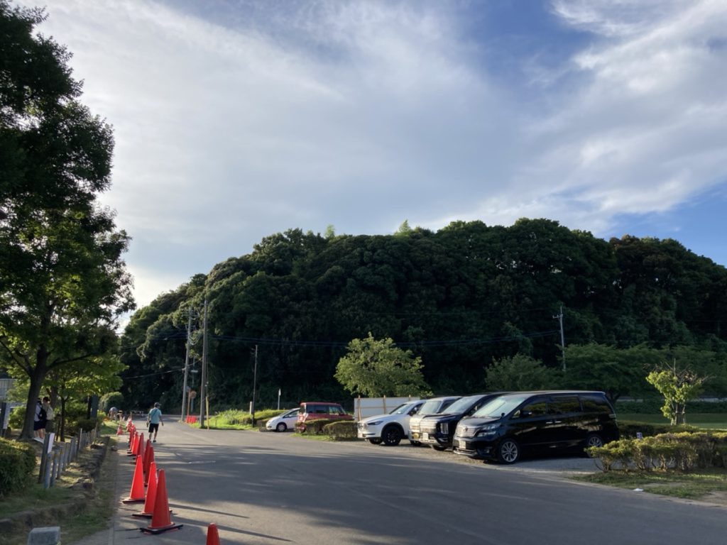 【流山おおたかの森】流山市内の水遊びならココがおすすめ「野々下水辺公園」
