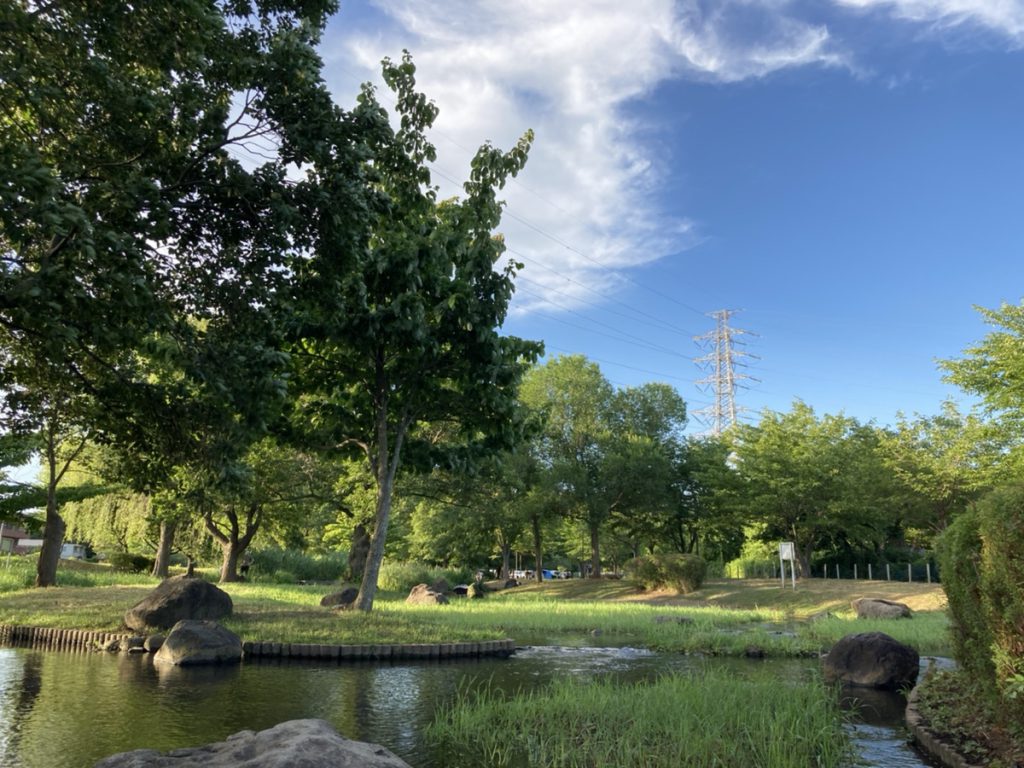 【流山おおたかの森】流山市内の水遊びならココがおすすめ「野々下水辺公園」