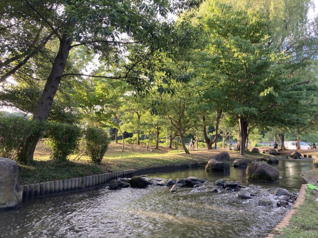 【流山おおたかの森】流山市内の水遊びならココがおすすめ「野々下水辺公園」