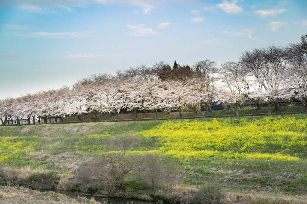 「流山市の土地の相場価格」